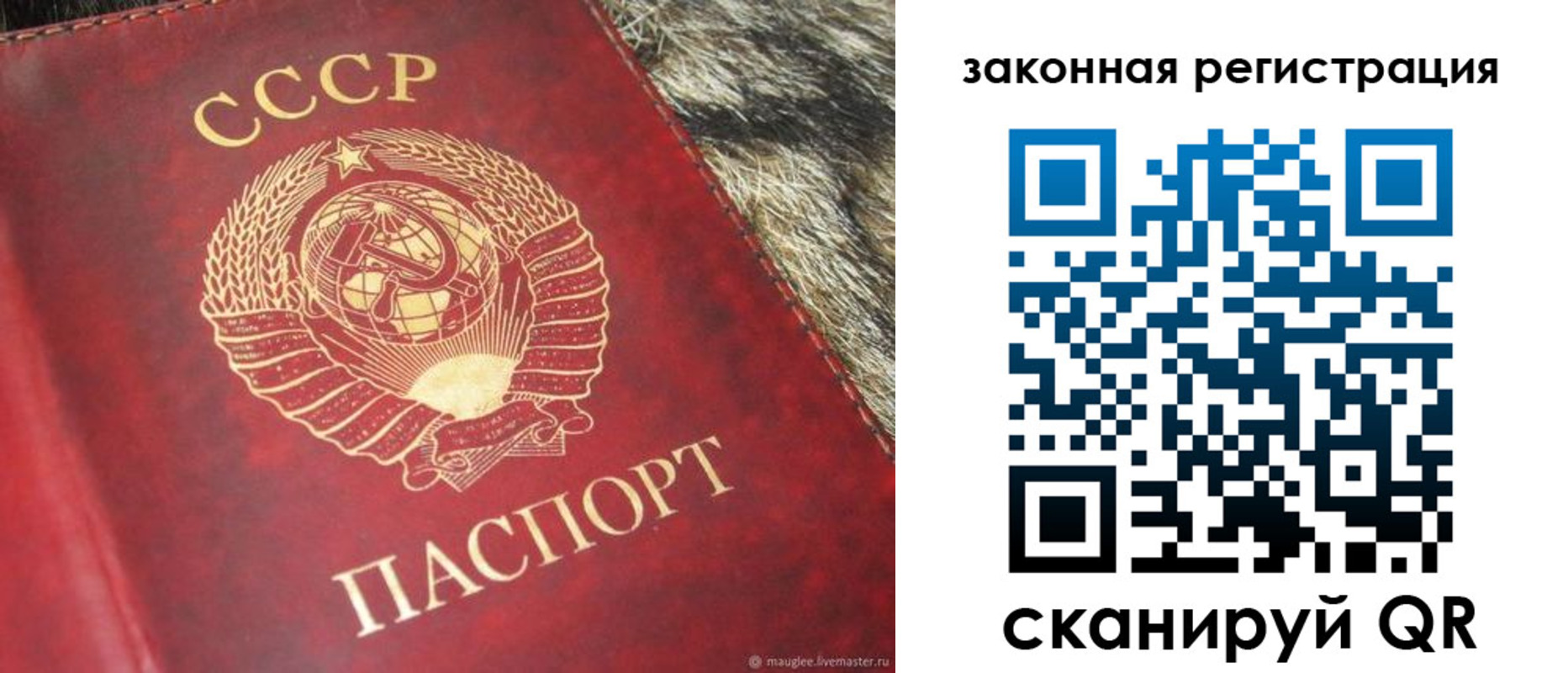 прописка от собственника в Кусе